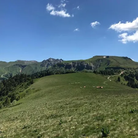 Beau Duplex 3 Pieces Avec Balcon, Parking Et Wifi Au Dore - Fr-1-608-187 * Le Mont-Dore