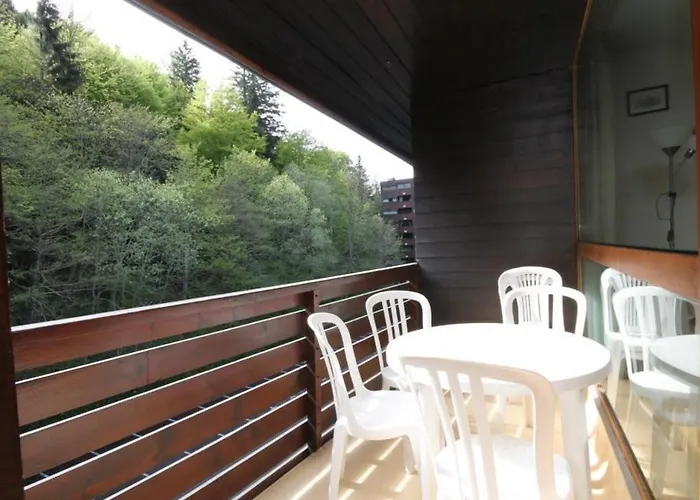 Apartamento Beau Duplex 3 Pieces Avec Balcon, Parking Et Wifi Au Dore - Fr-1-608-187 *