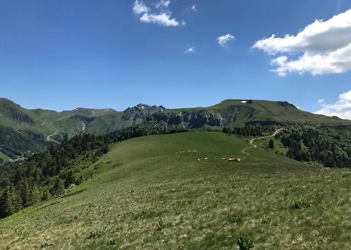 Beau Duplex 3 Pieces Avec Balcon, Parking Et Wifi Au Dore - Fr-1-608-187 * Mont-Dore